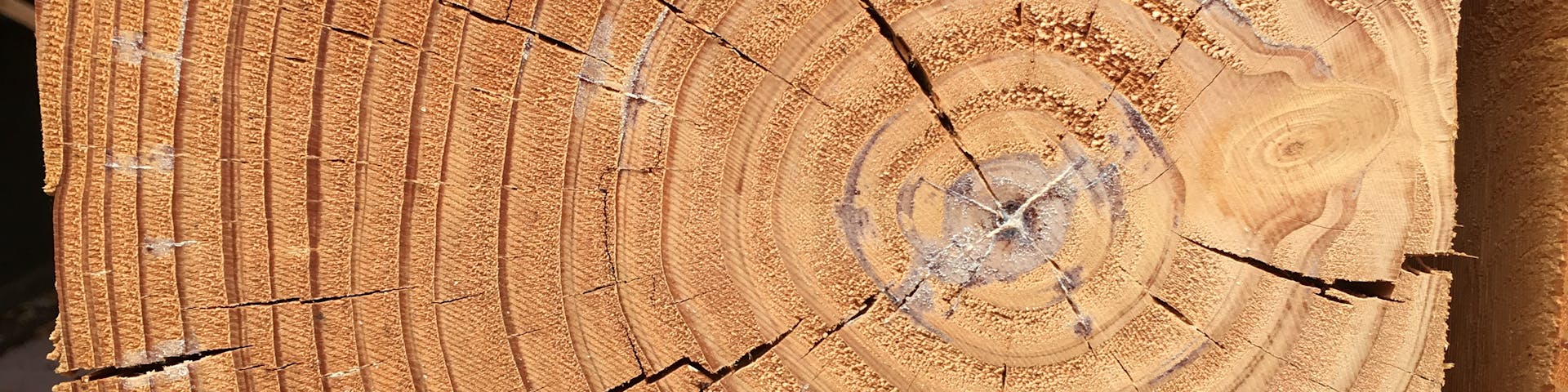 hello banner background image