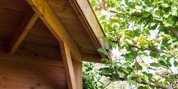 project36_3 project36_3