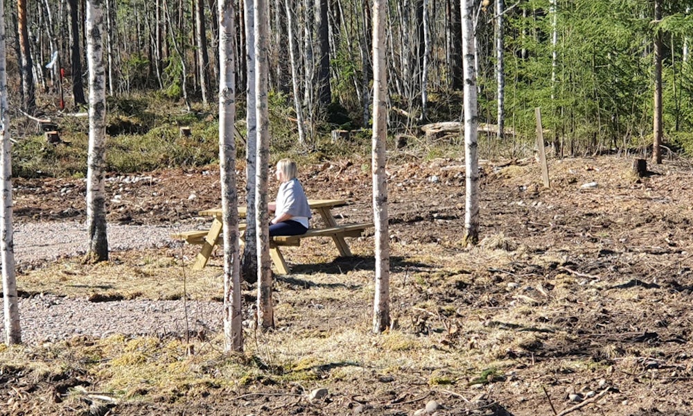 piknikbord dame sitter på piknikbenk med bord i bjørkeskog