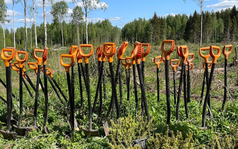 Plantespader mange spader som står i jorden